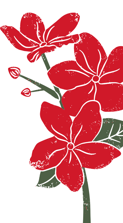 brand-flowers (2)